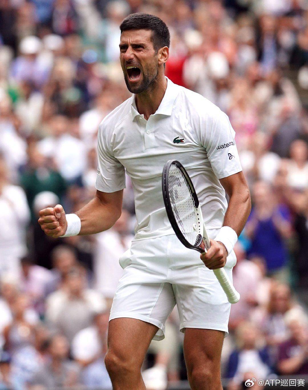 中国跳水队 中国跳水队